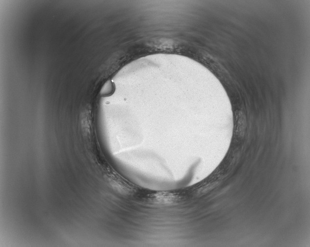 X0000072540612200608111814