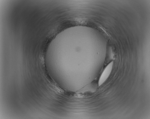 X0000072540613200608111814