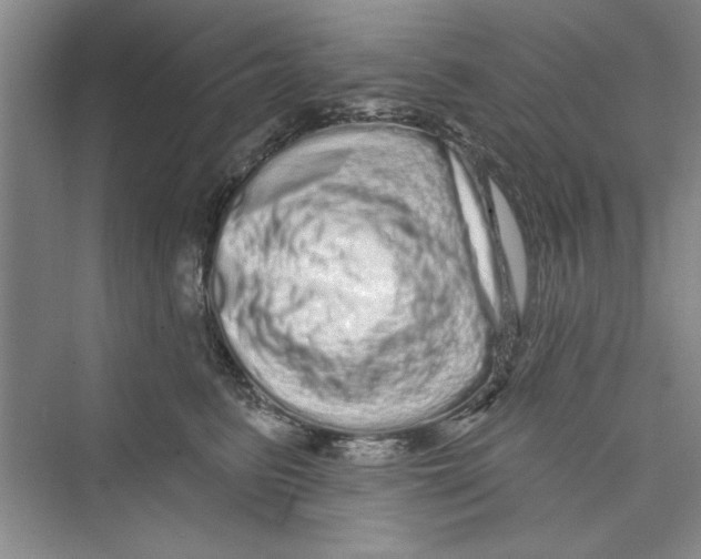 X0000072540615200608111814