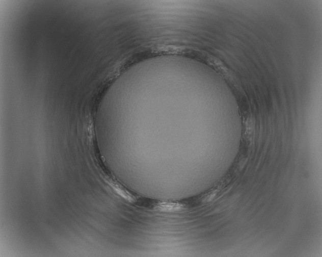 X0000072540617200608111814