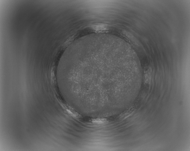 X0000072540618200608111814