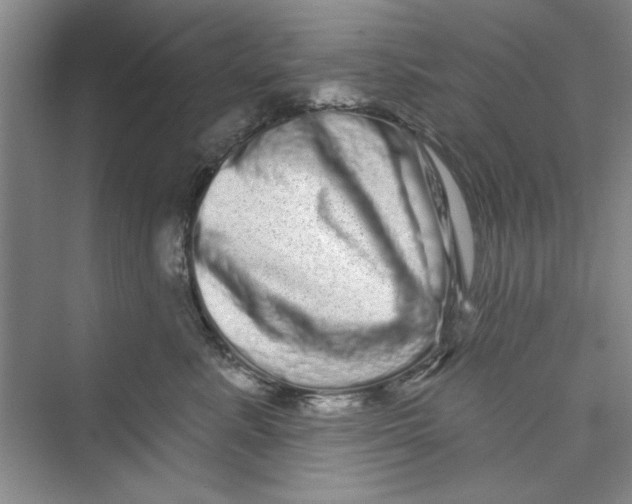 X0000072540619200608111814