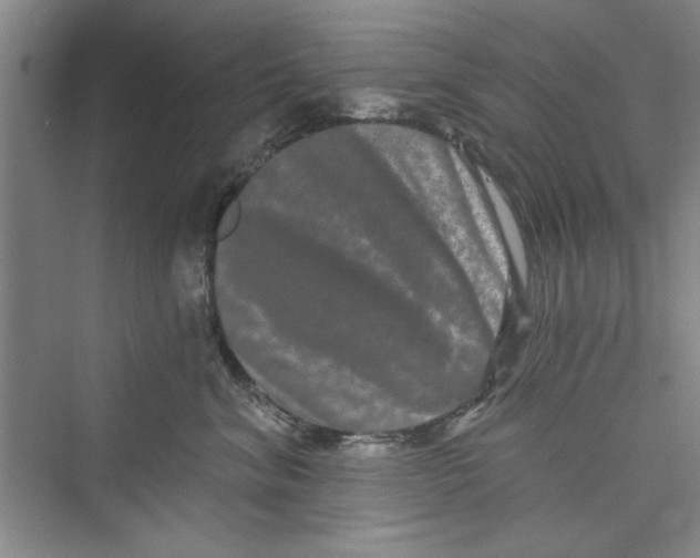 X0000072540620200608111814