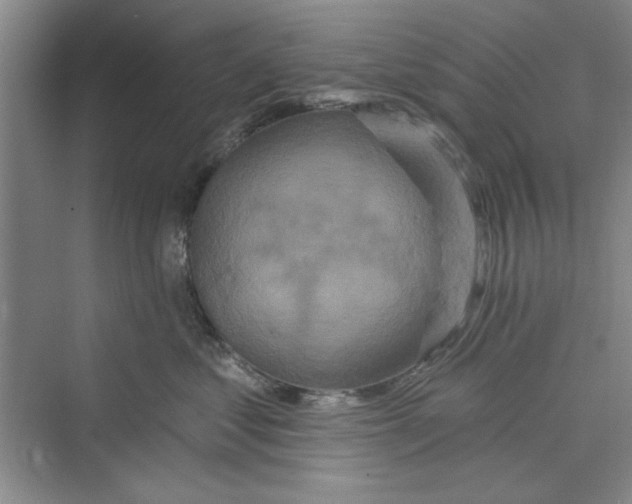 X0000072540621200608111814