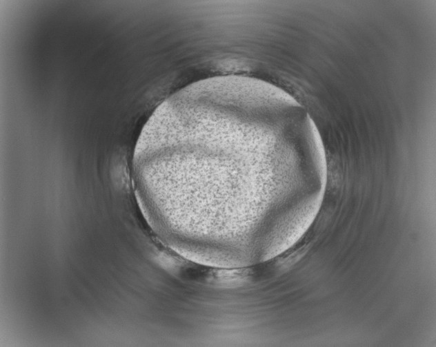 X0000072540622200608111814