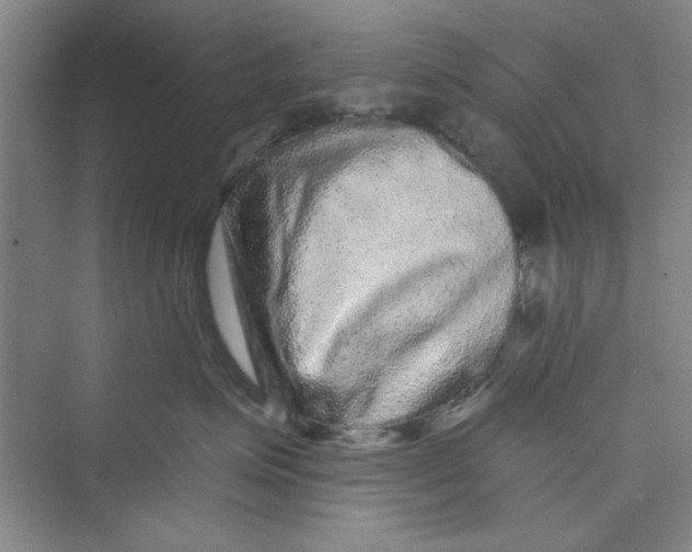 X0000072540623200608111814