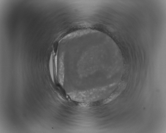 X0000072540624200608111814