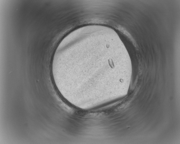 X0000072540625200608111813