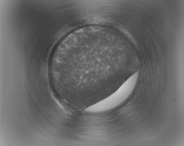 X0000072540626200608111813