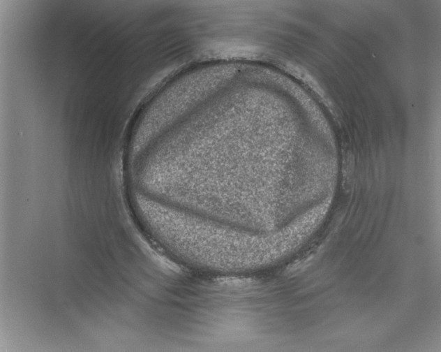 X0000072540629200608111814