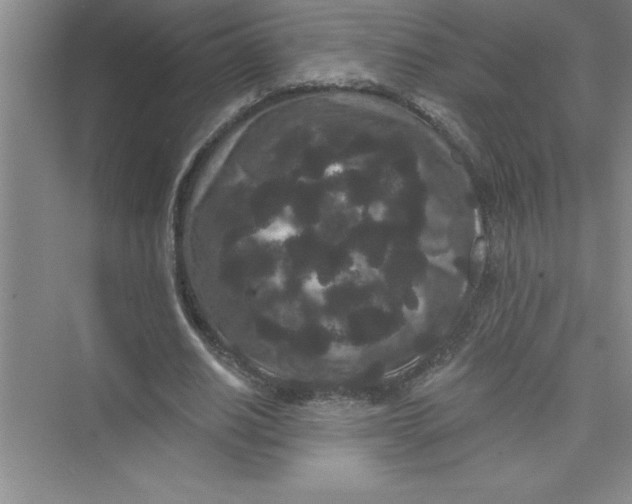 X0000072540630200608111814