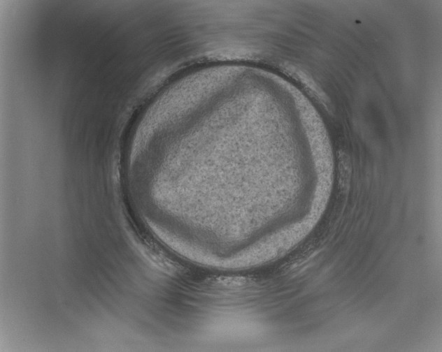 X0000072540631200608111814