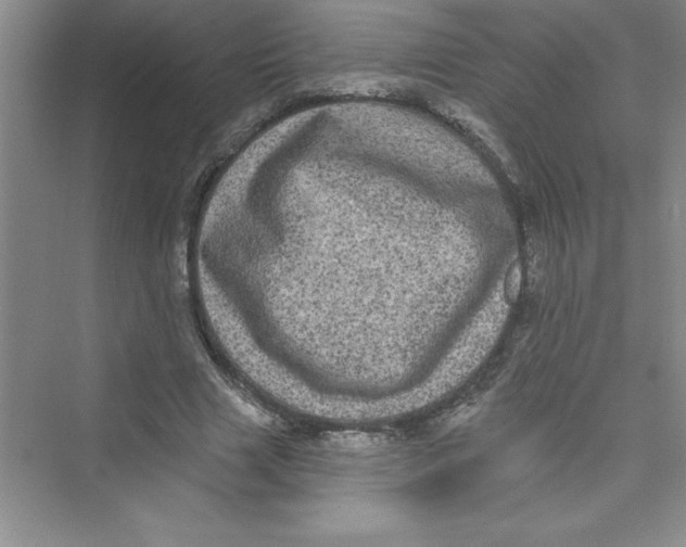 X0000072540633200608111814