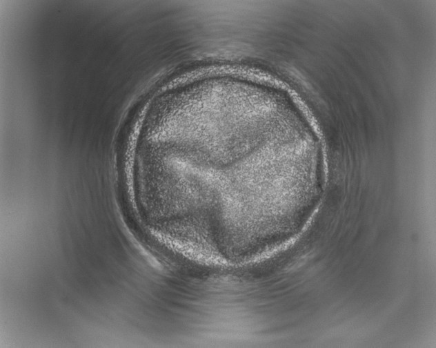 X0000072540634200608111814