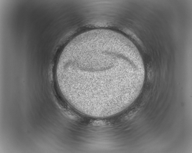 X0000072540635200608111814