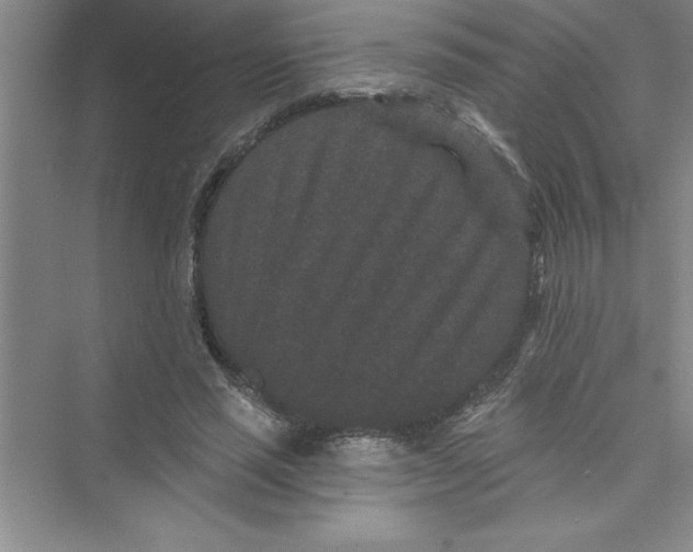 X0000072540637200608111814