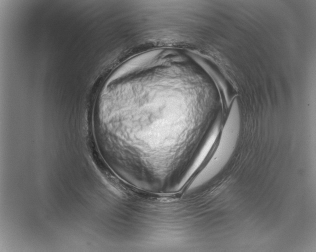 X0000072540638200608111814