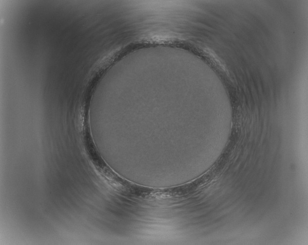 X0000072540640200608111814