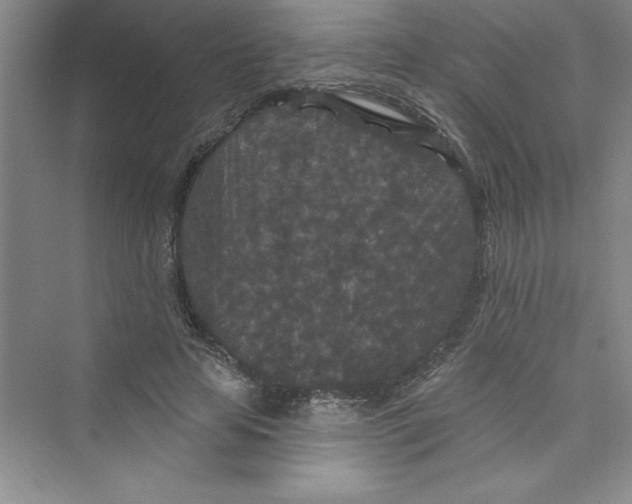 X0000072540641200608111814