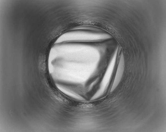 X0000072540642200608111814