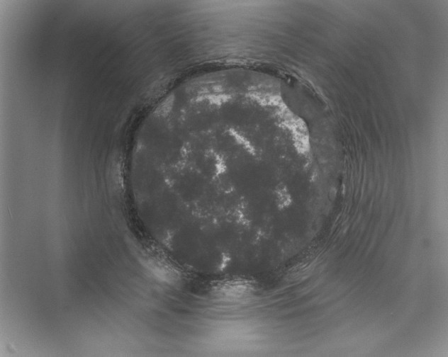 X0000072540643200608111814