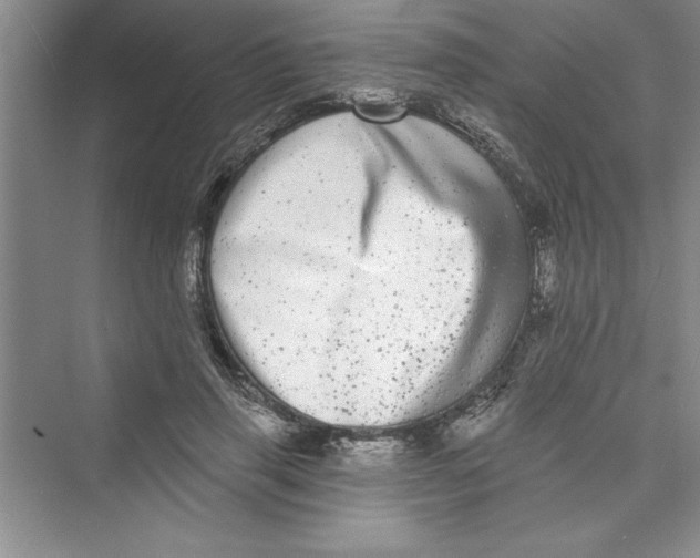 X0000072540645200608111814