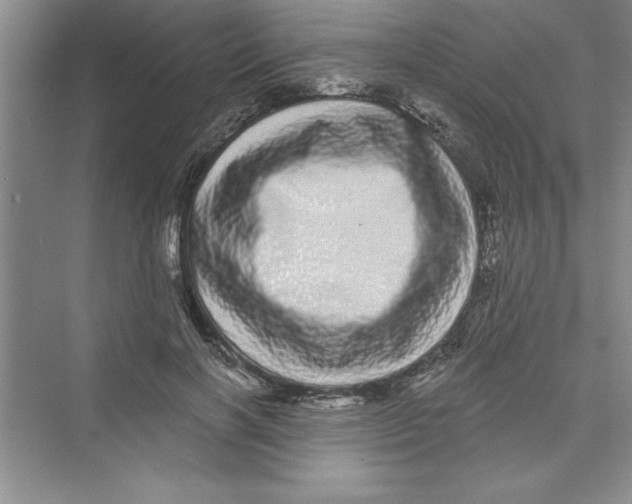 X0000072540646200608111814