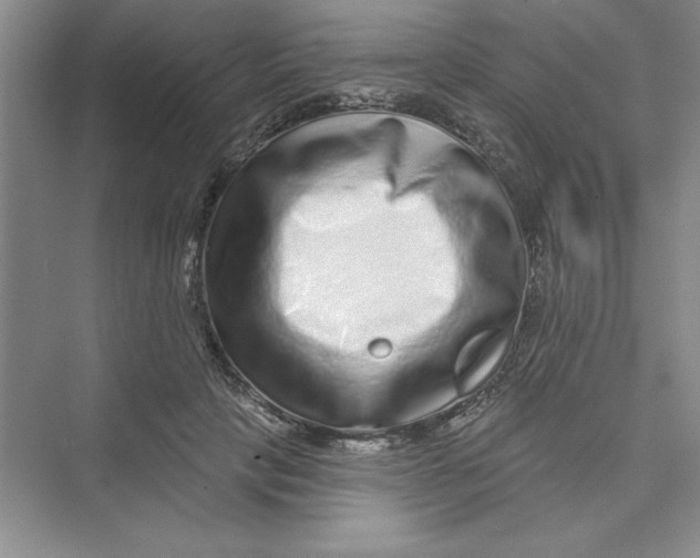 X0000072540649200608111814