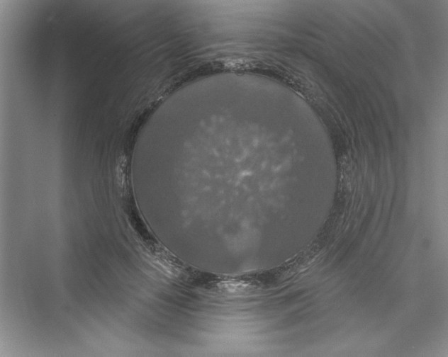 X0000072540650200608111814