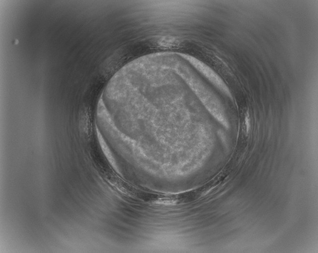 X0000072540651200608111814