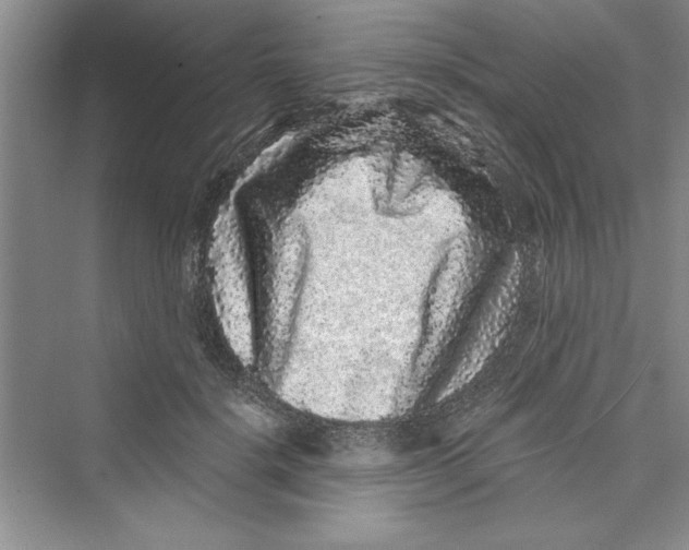 X0000072540652200608111814