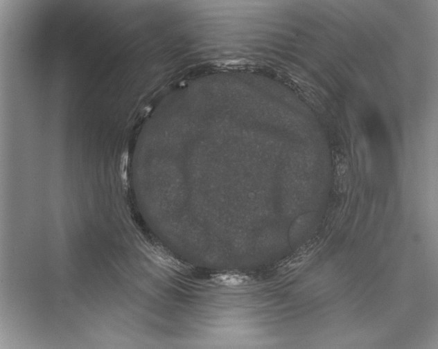 X0000072540654200608111814