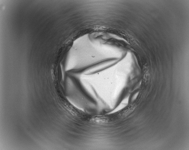 X0000072540655200608111814