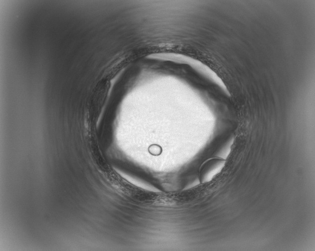 X0000072540656200608111814