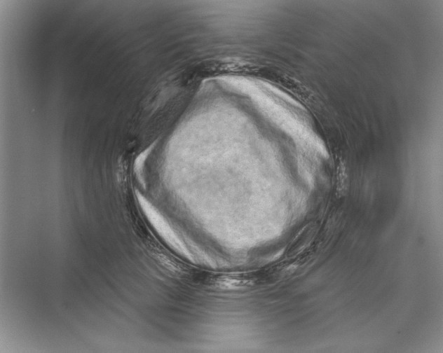 X0000072540657200608111814