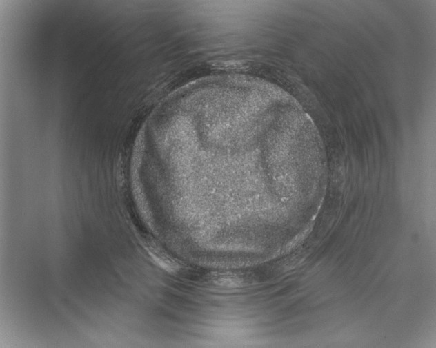 X0000072540658200608111814