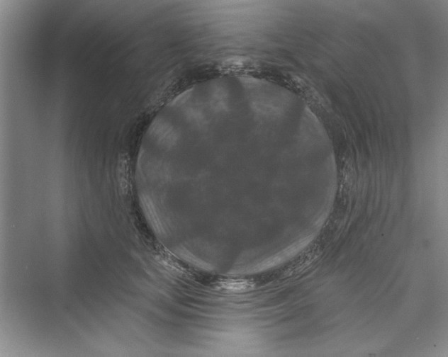 X0000072540659200608111814