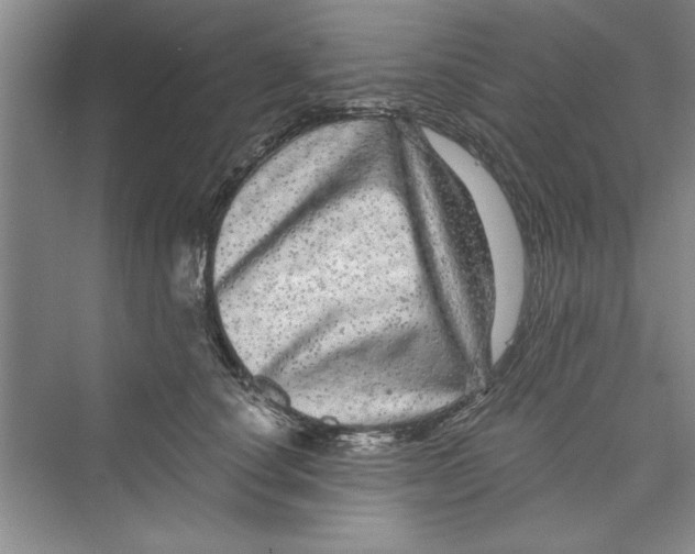 X0000072540660200608111814