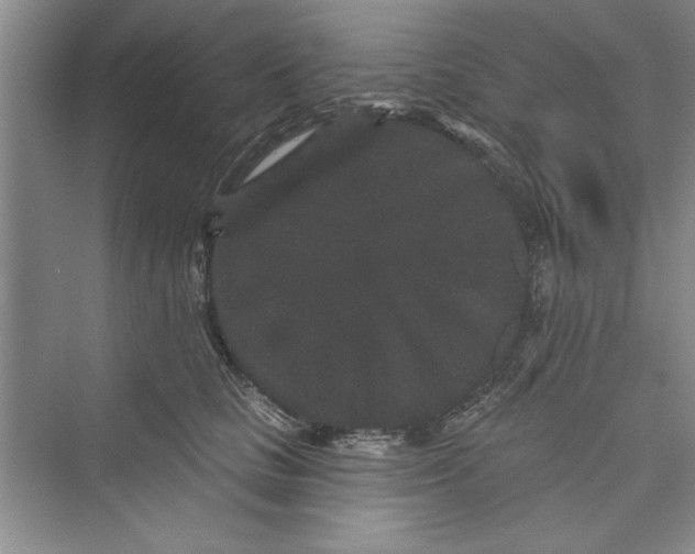 X0000072540661200608111814