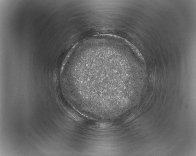 X0000072540662200608111814