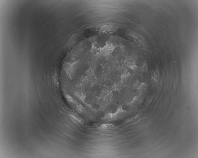 X0000072540663200608111814