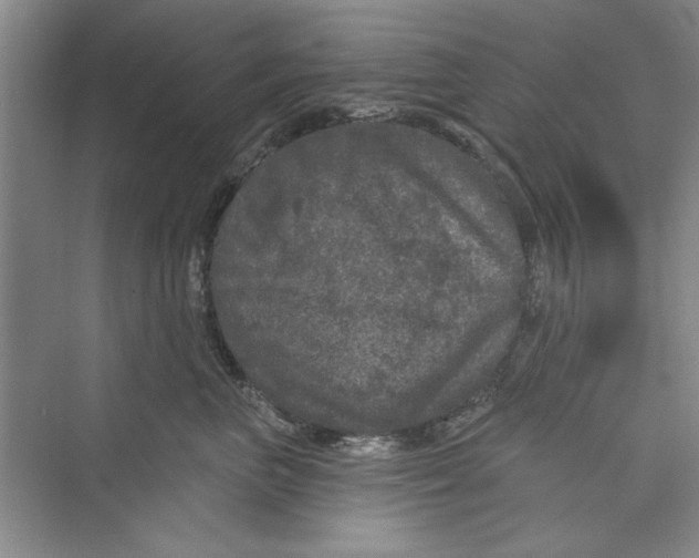 X0000072540667200608111814