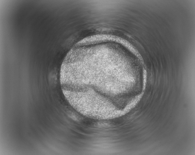 X0000072540668200608111814