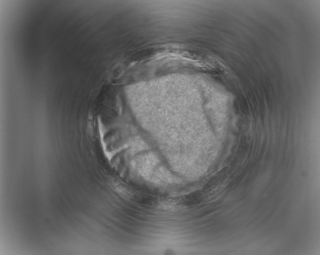 X0000072540669200608111814