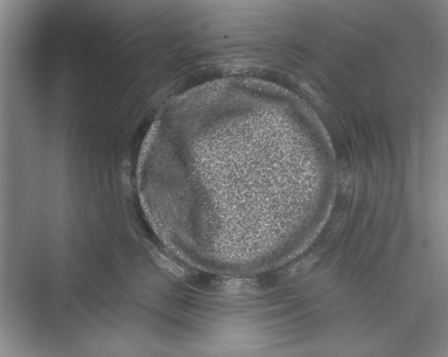 X0000072540670200608111814