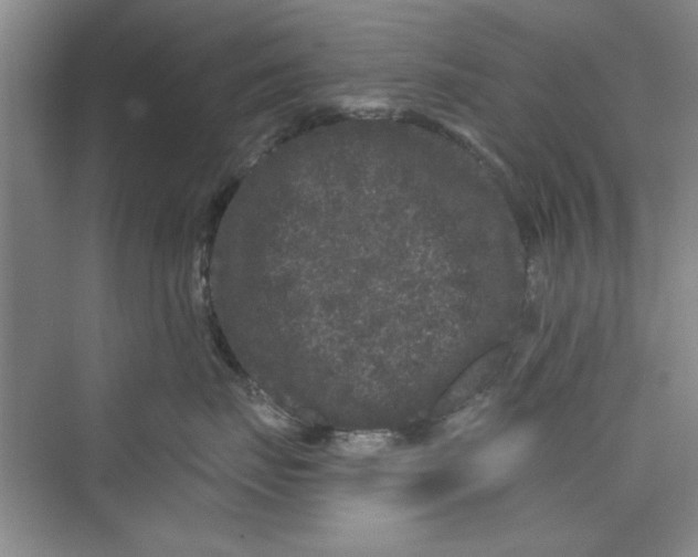 X0000072540671200608111814