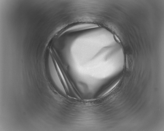 X0000072540675200608111813