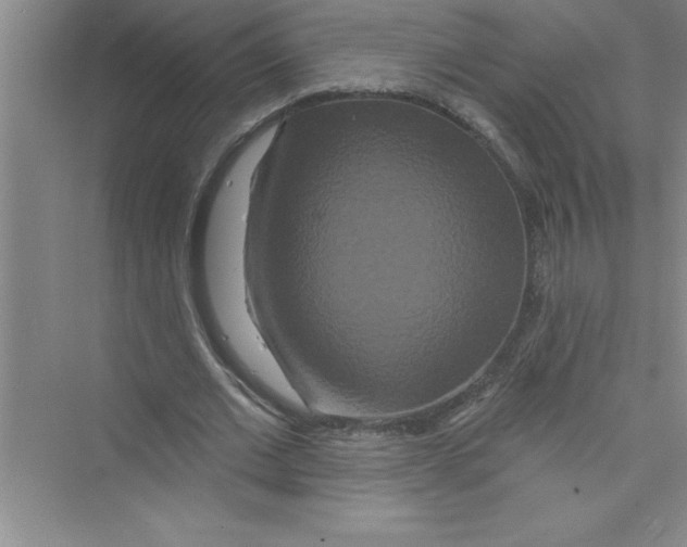 X0000072540677200608111813