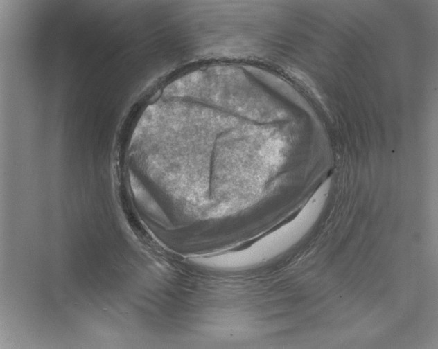 X0000072540680200608111813