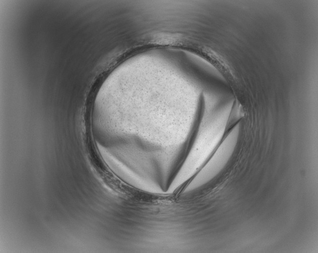 X0000072540682200608111813